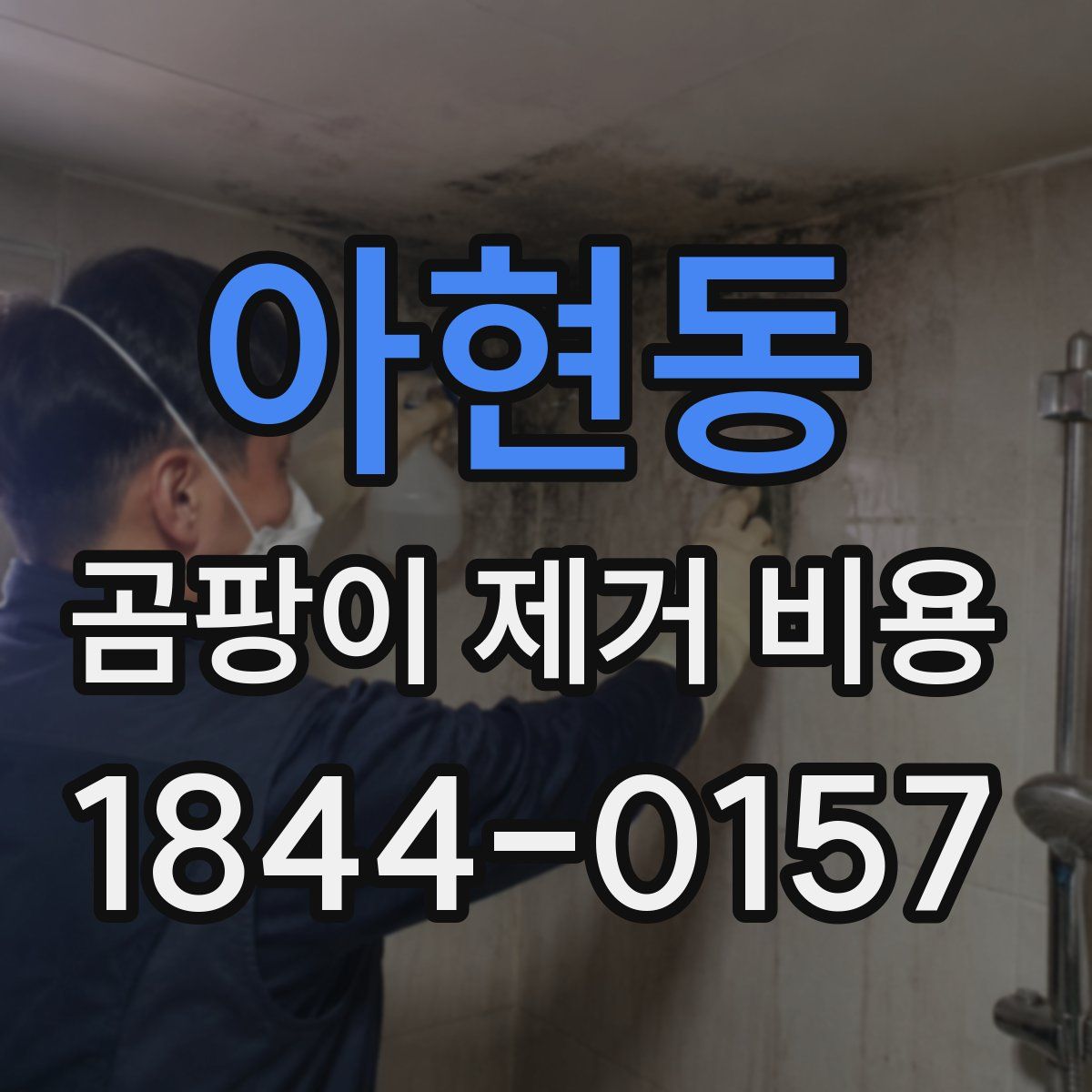 아현동 곰팡이 제거 비용