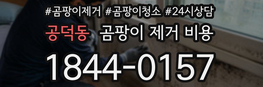 공덕동 곰팡이 제거 비용