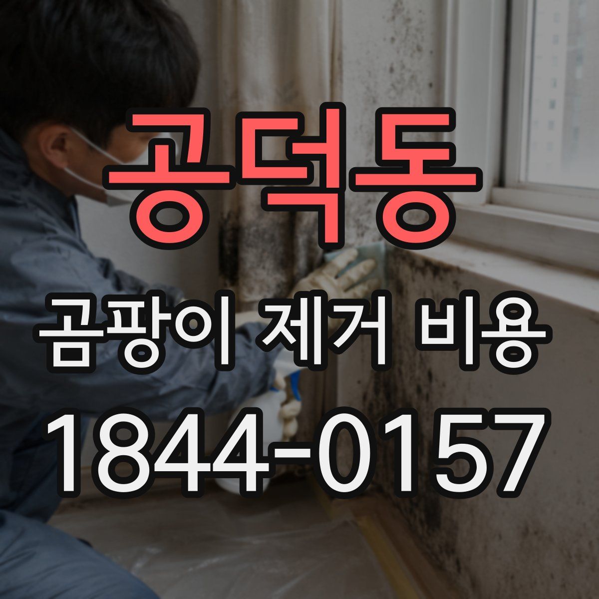 공덕동 곰팡이 제거 비용