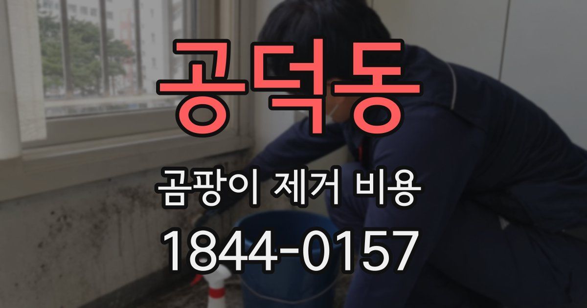 공덕동 곰팡이 제거 비용
