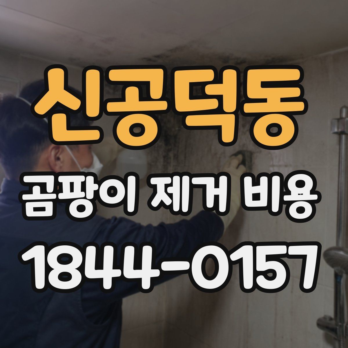 신공덕동 곰팡이 제거 비용 공사 전 준비할 체크리스트부터 확인하기
