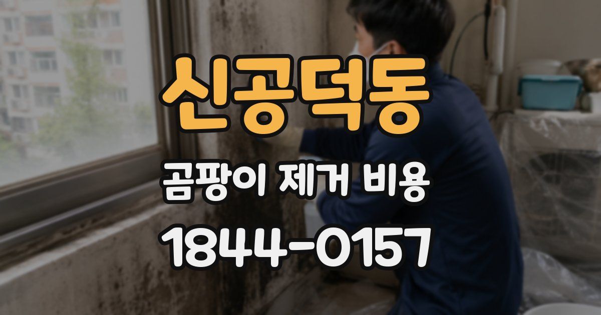 신공덕동 곰팡이 제거 비용