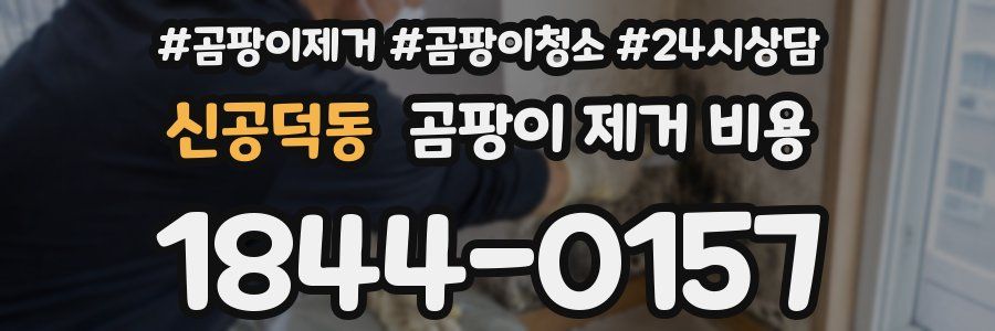 신공덕동 곰팡이 제거 비용