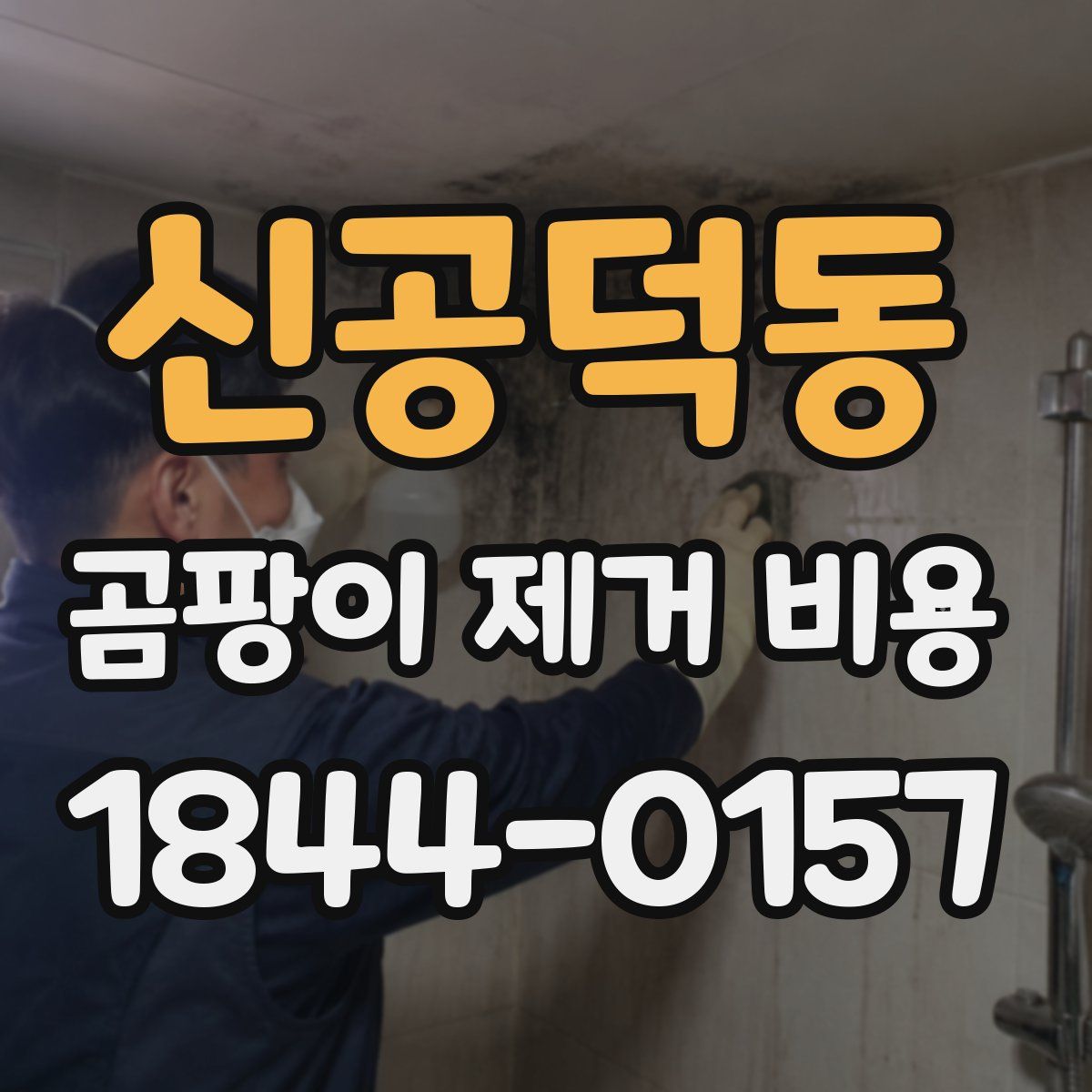 신공덕동 곰팡이 제거 비용