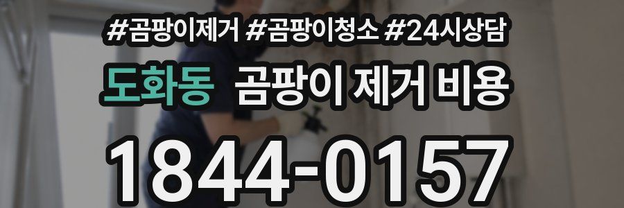 도화동 곰팡이 제거 비용