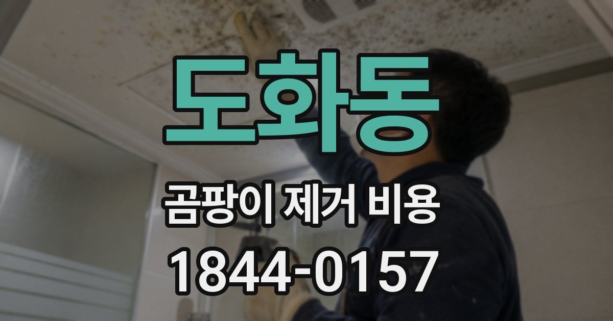 도화동 곰팡이 제거 비용