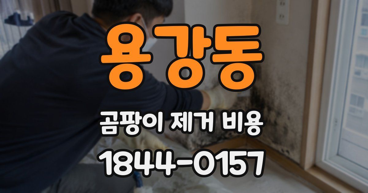 용강동 곰팡이 제거 비용