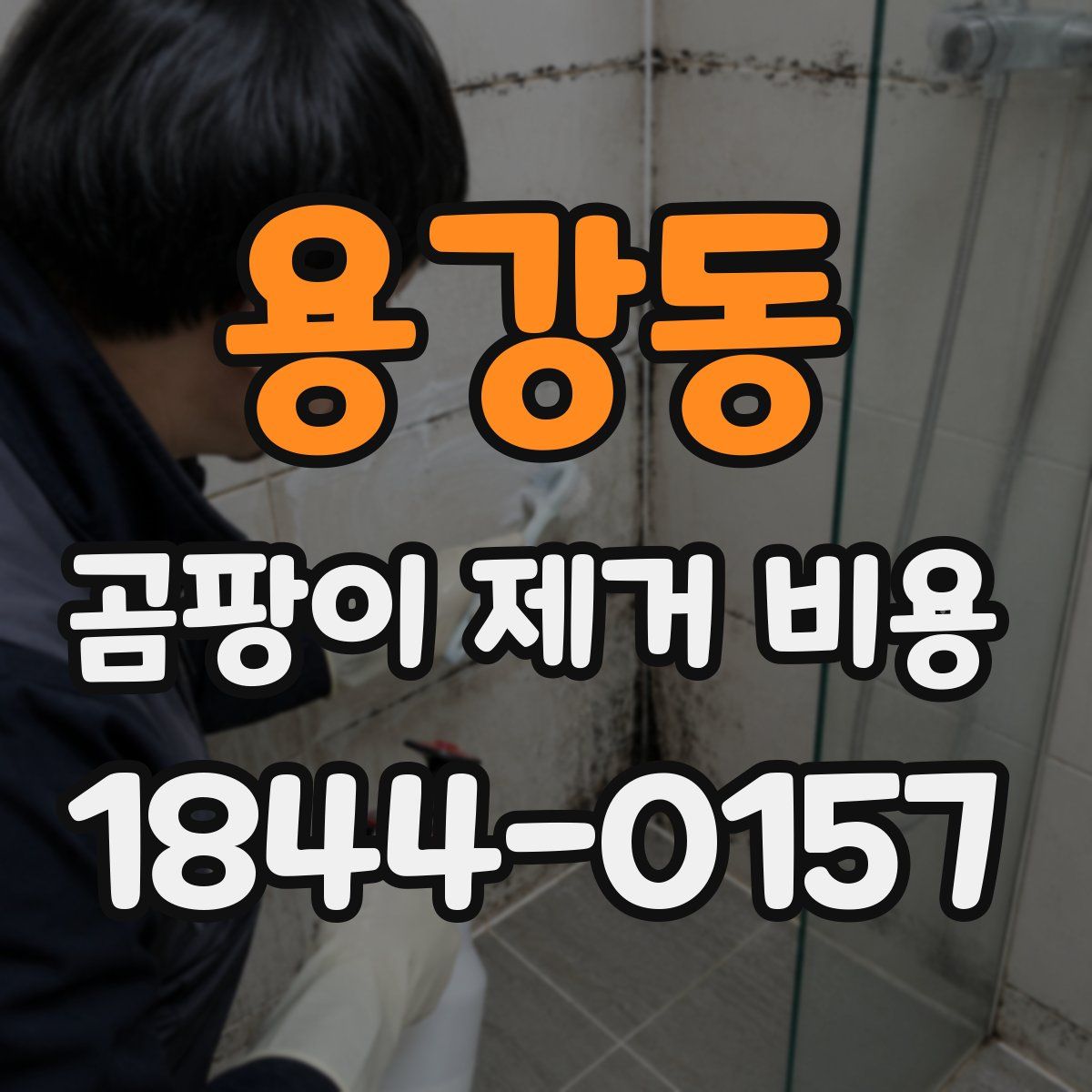 용강동 곰팡이 제거 비용