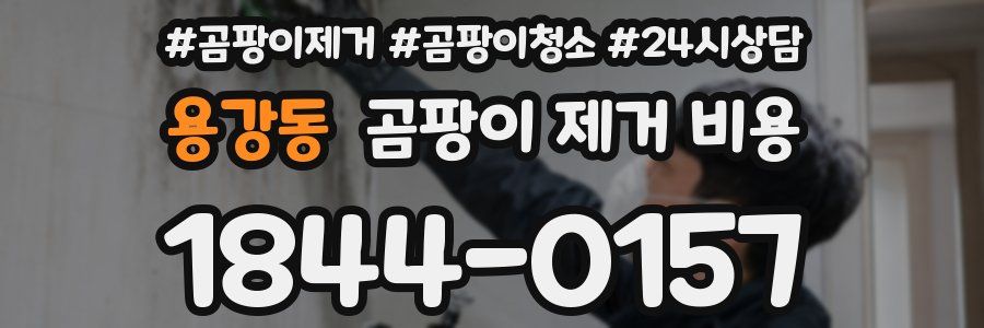 용강동 곰팡이 제거 비용