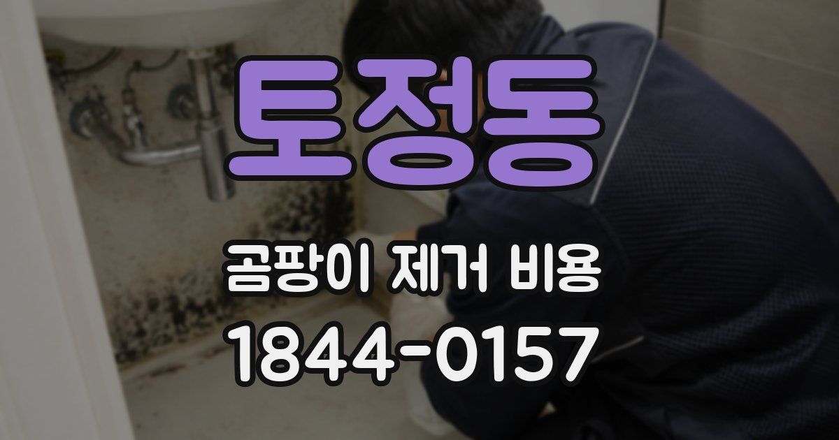 토정동 곰팡이 제거 비용