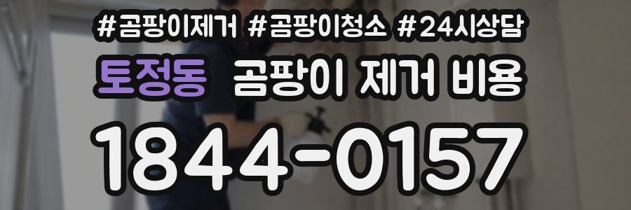 토정동 곰팡이 제거 비용
