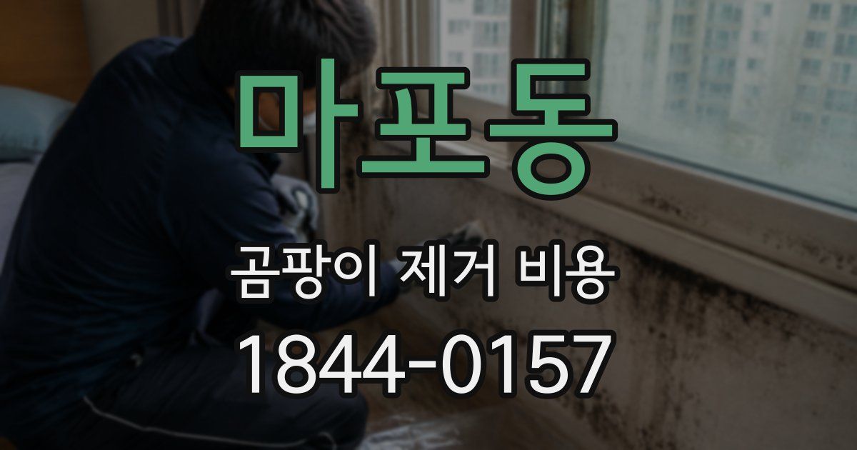 마포동 곰팡이 제거 비용