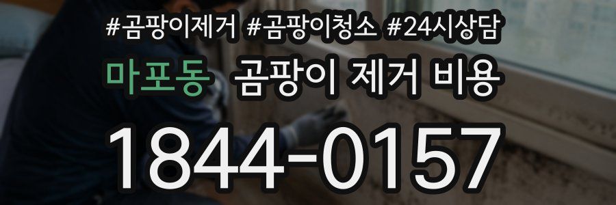 마포동 곰팡이 제거 비용
