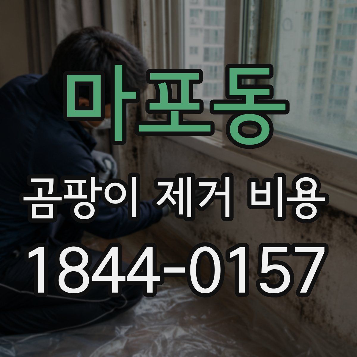 마포동 곰팡이 제거 비용