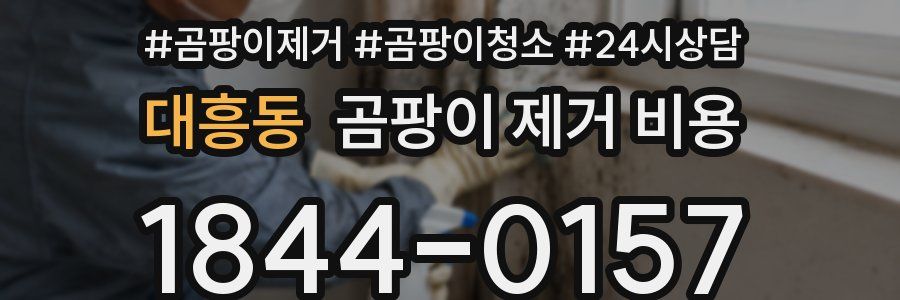 대흥동 곰팡이 제거 비용
