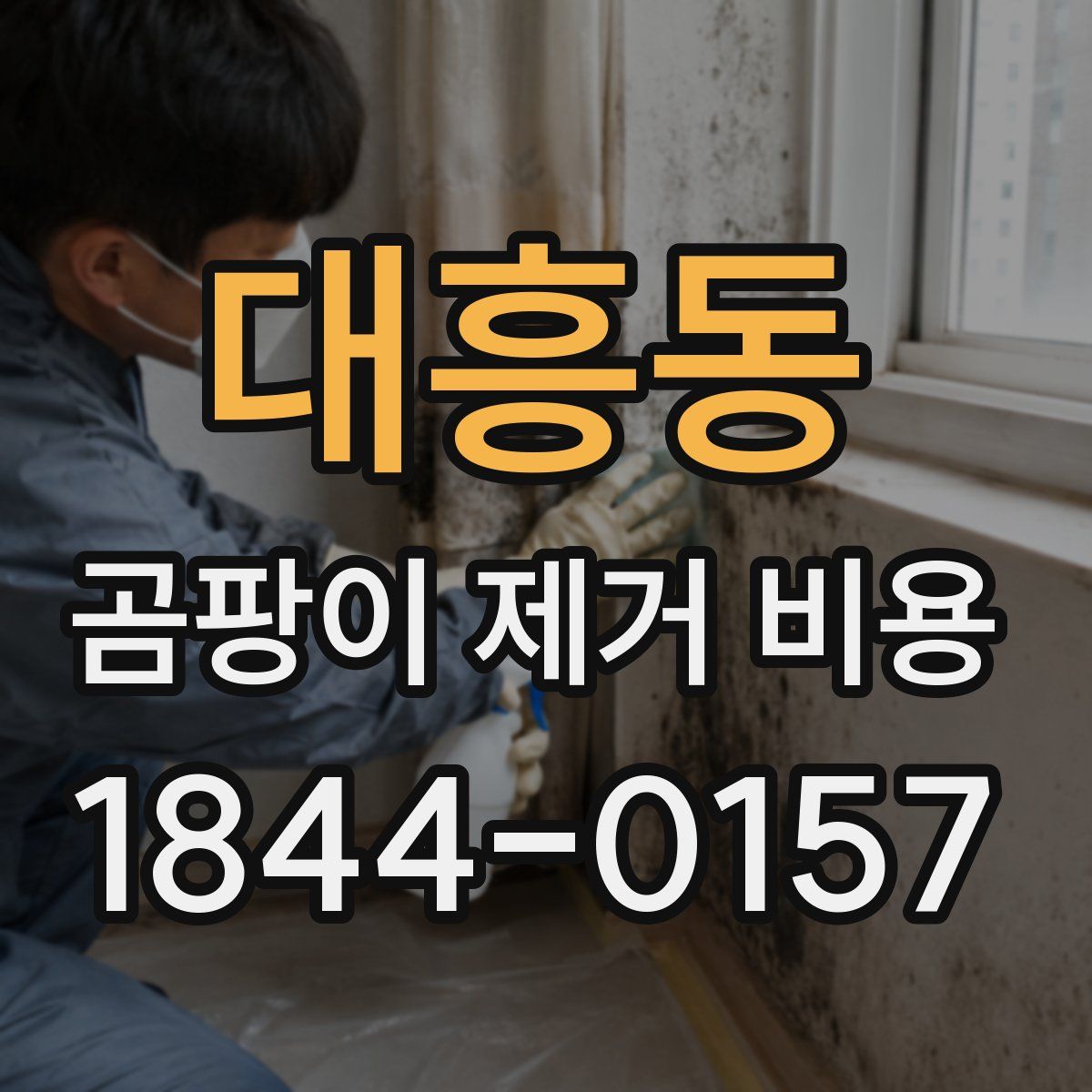 대흥동 곰팡이 제거 비용