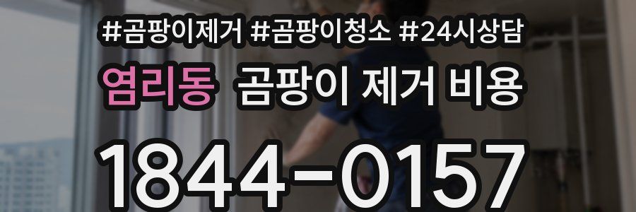 염리동 곰팡이 제거 비용