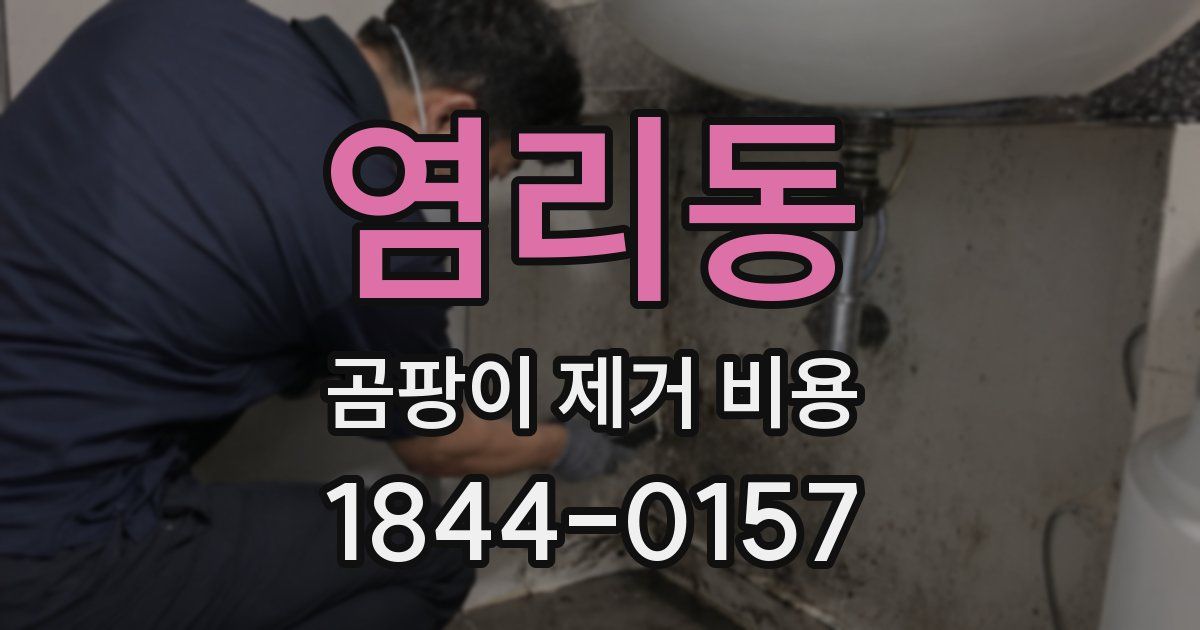 염리동 곰팡이 제거 비용