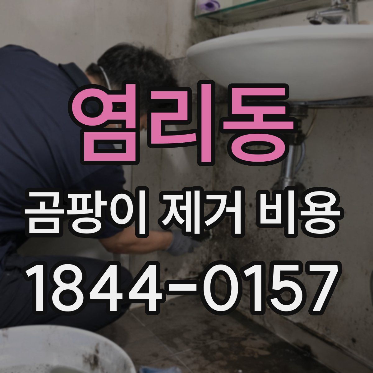 염리동 곰팡이 제거 비용