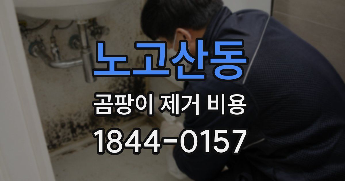 노고산동 곰팡이 제거 비용