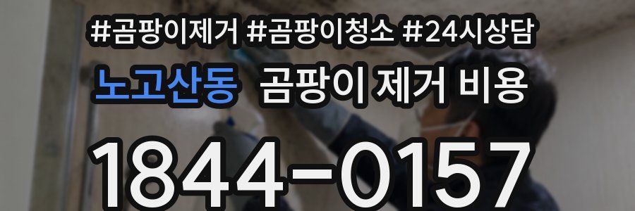 노고산동 곰팡이 제거 비용