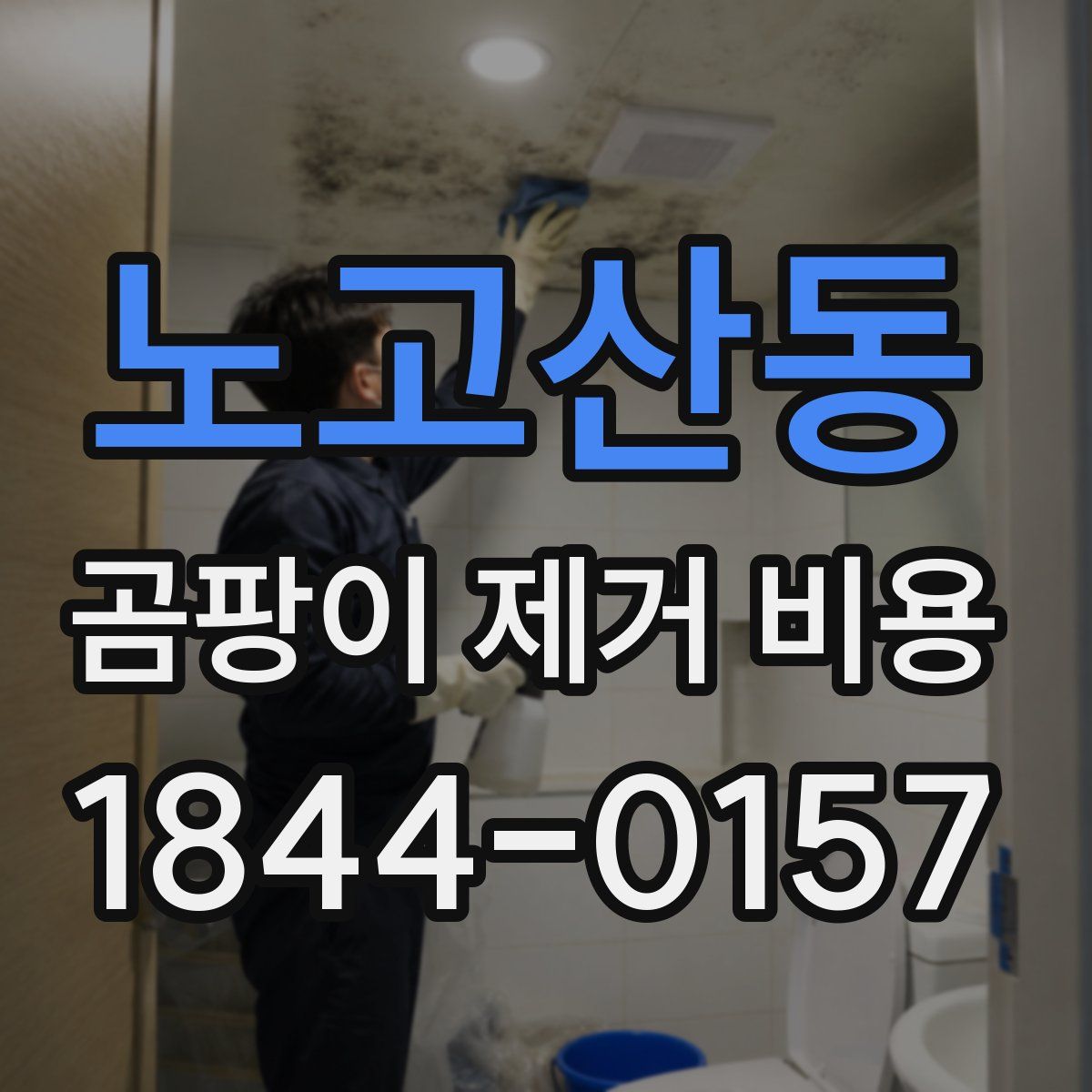노고산동 곰팡이 제거 비용
