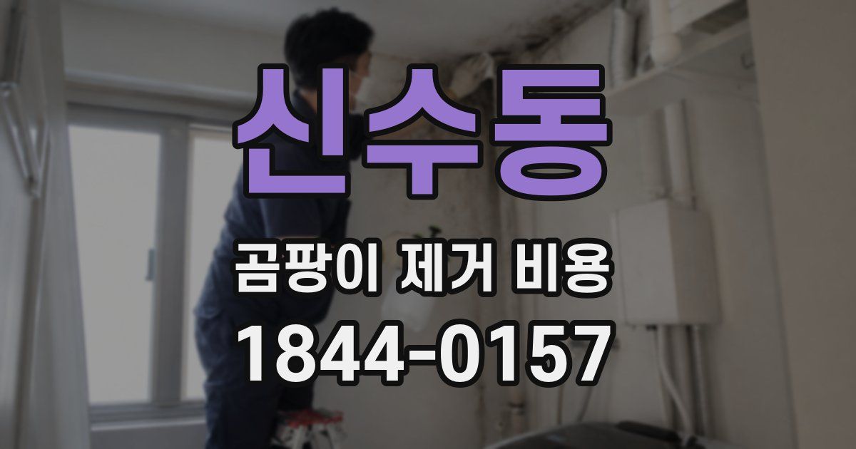 신수동 곰팡이 제거 비용