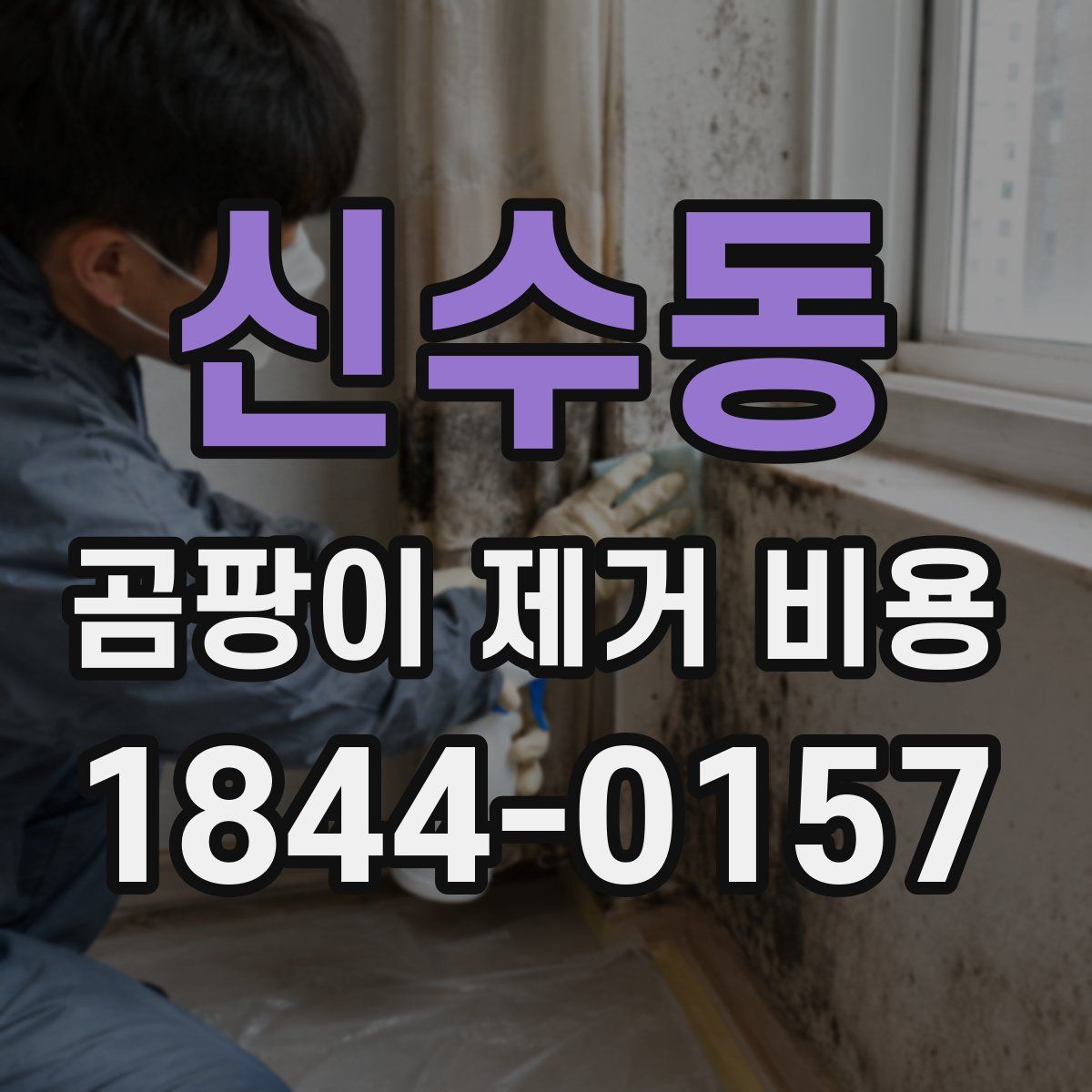 신수동 곰팡이 제거 비용