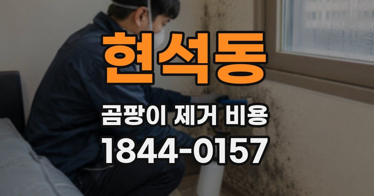 현석동 곰팡이 제거 비용