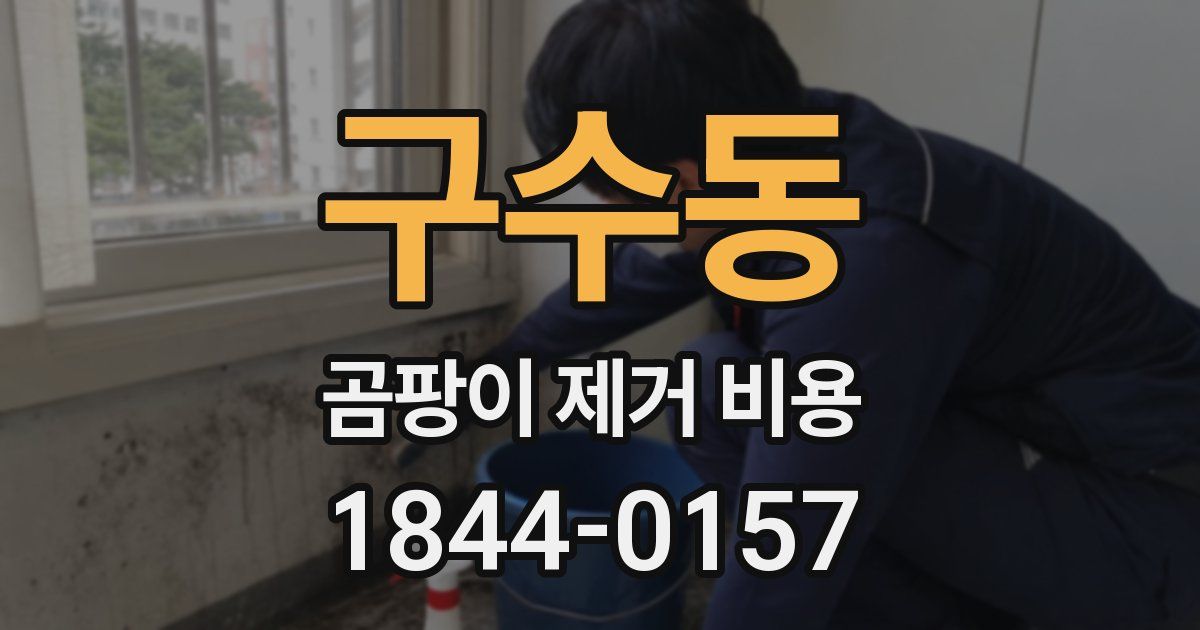 구수동 곰팡이 제거 비용