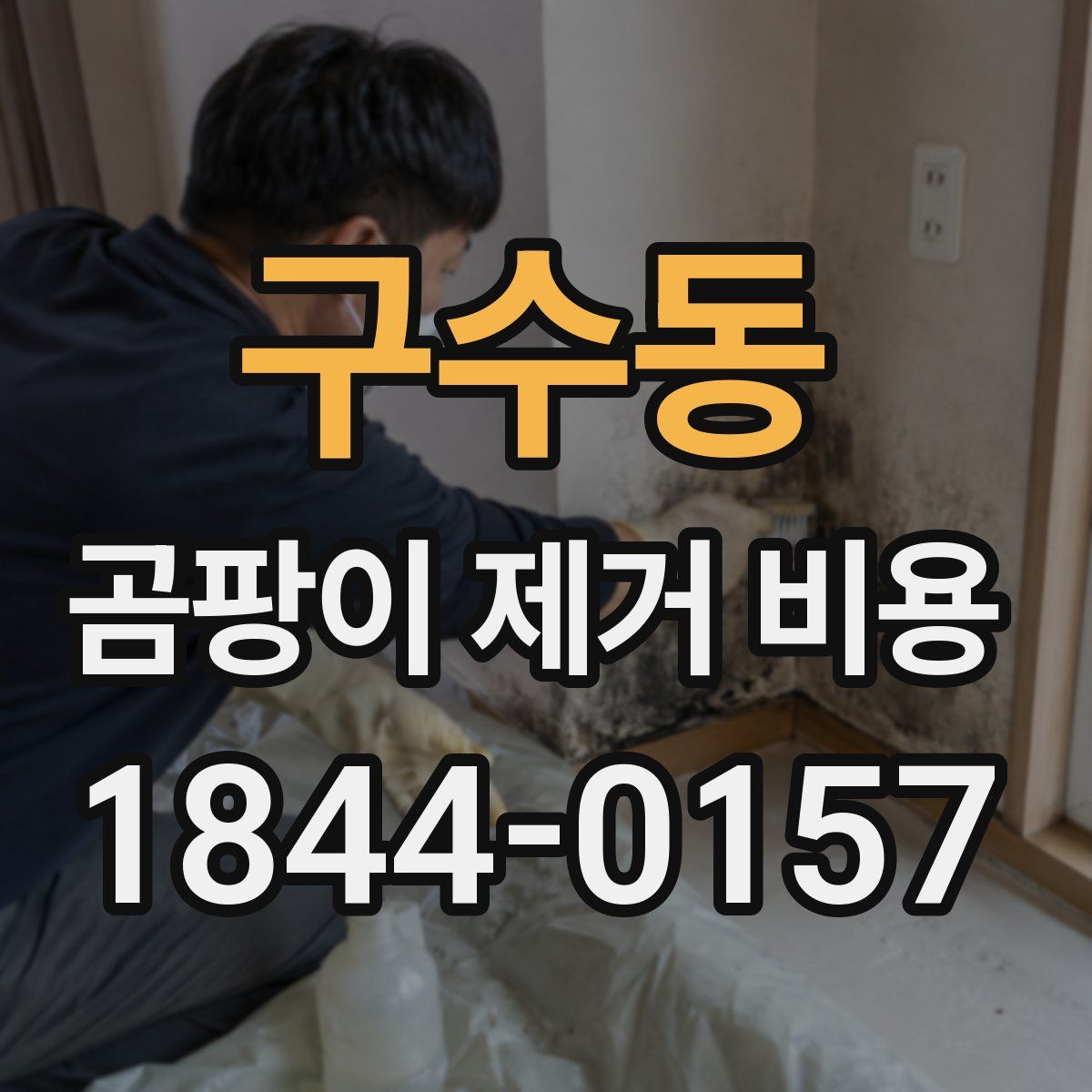 구수동 곰팡이 제거 비용
