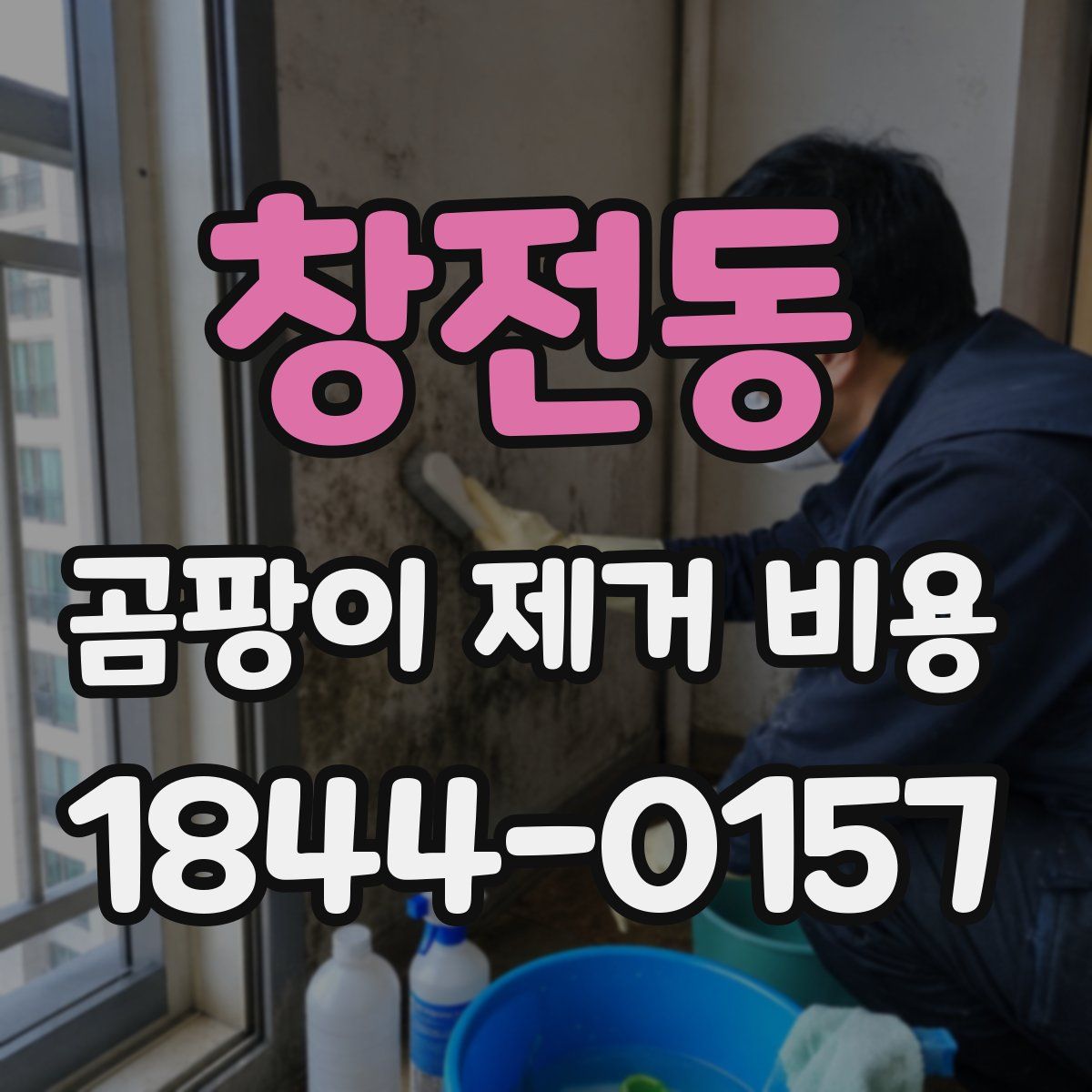창전동 곰팡이 제거 비용