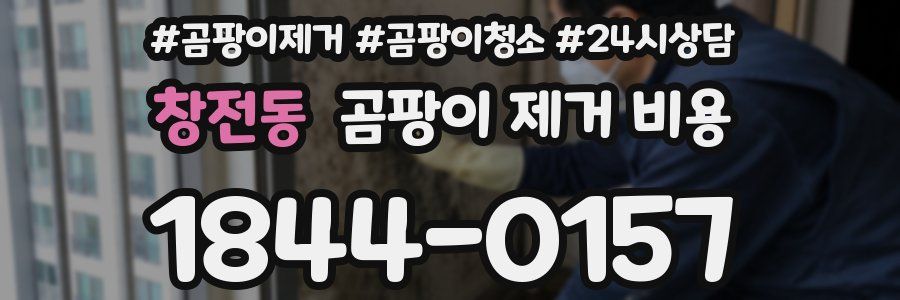 창전동 곰팡이 제거 비용