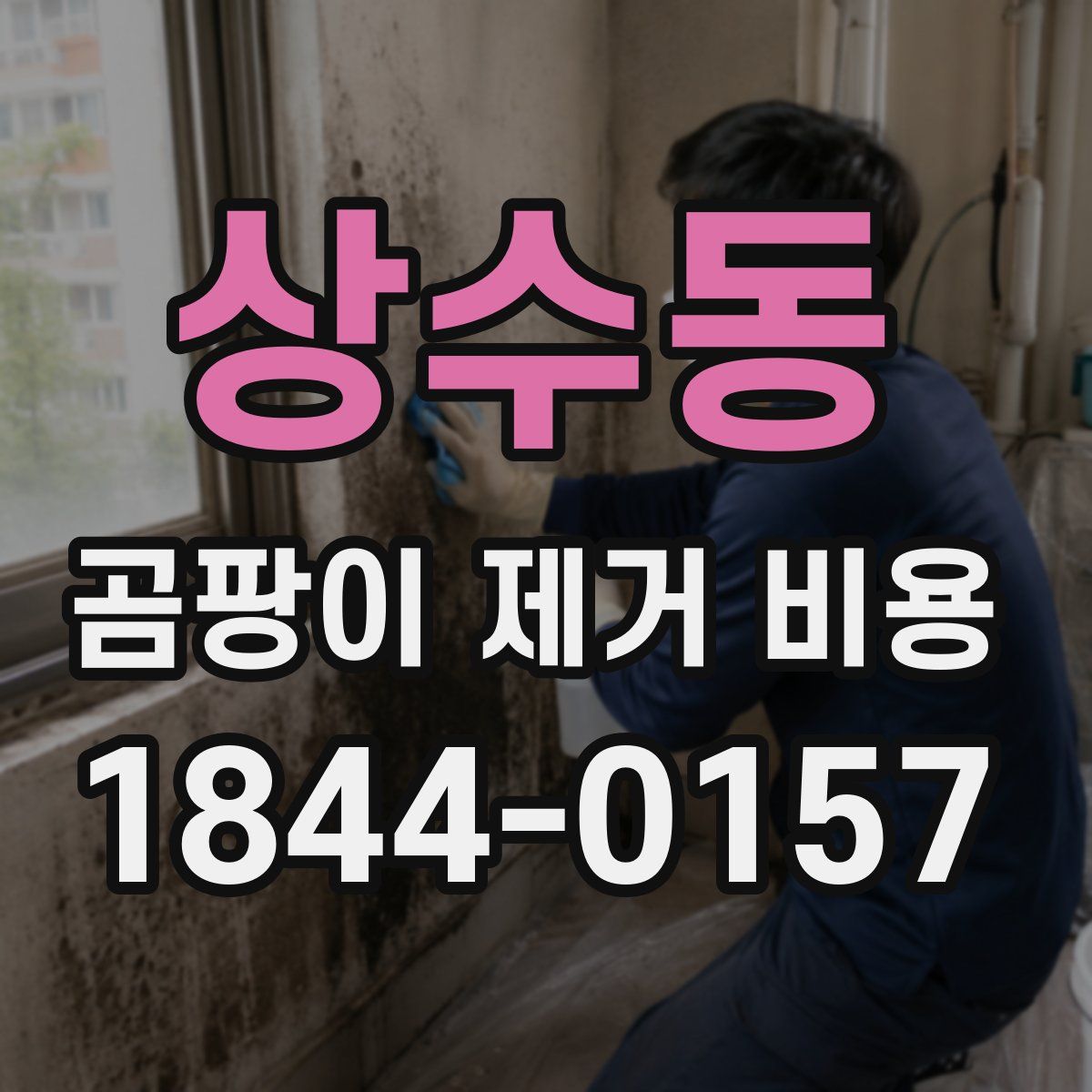 상수동 곰팡이 제거 비용