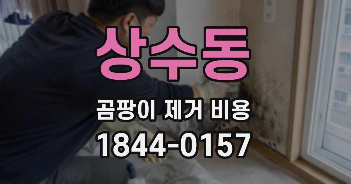 상수동 곰팡이 제거 비용
