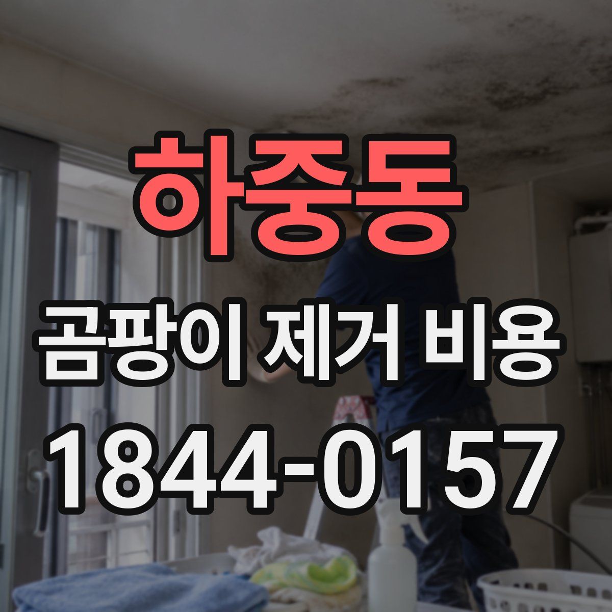 하중동 곰팡이 제거 비용