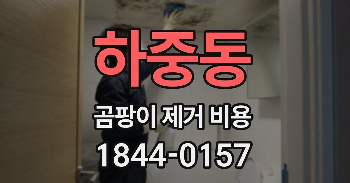 하중동 곰팡이 제거 비용