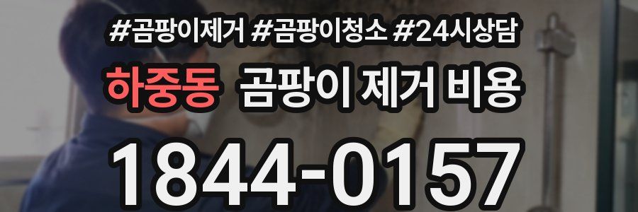 하중동 곰팡이 제거 비용