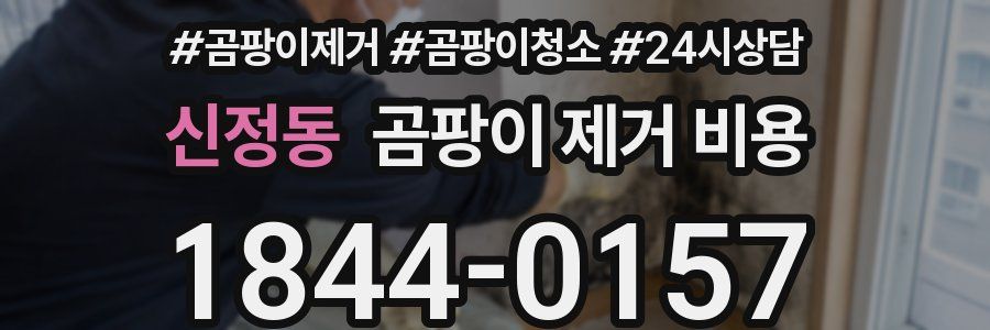 신정동 곰팡이 제거 비용