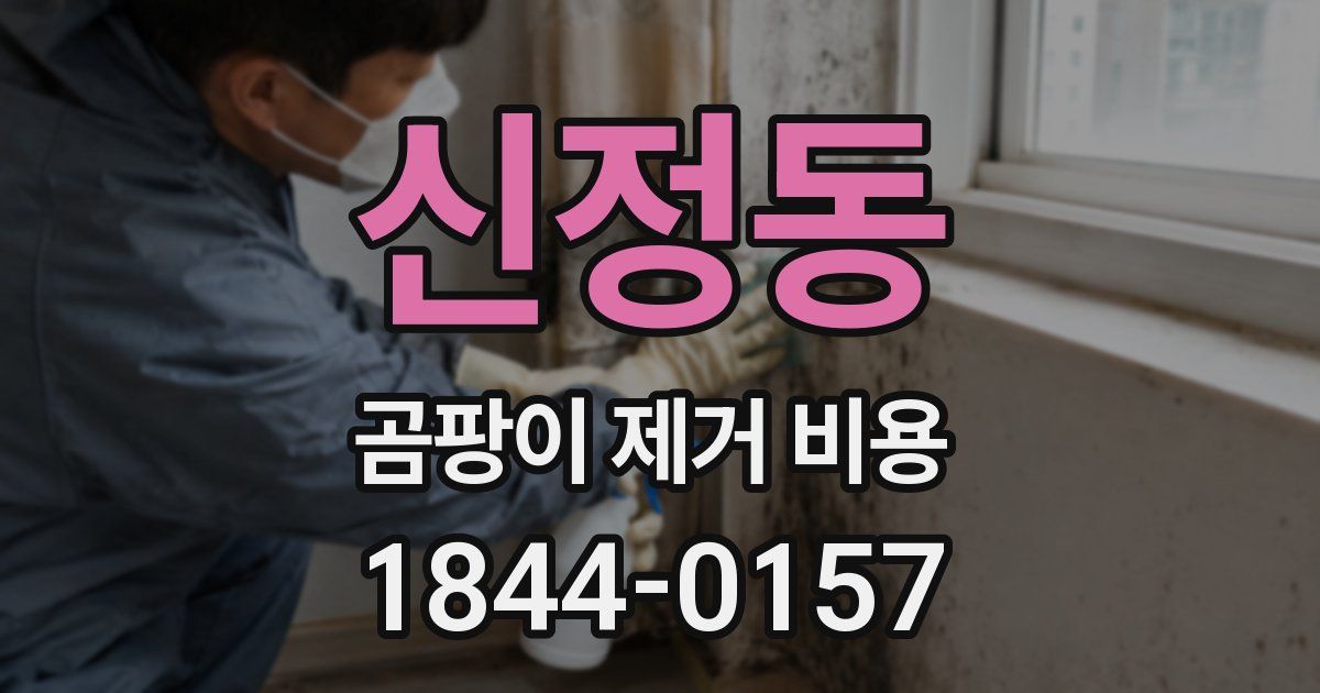 신정동 곰팡이 제거 비용