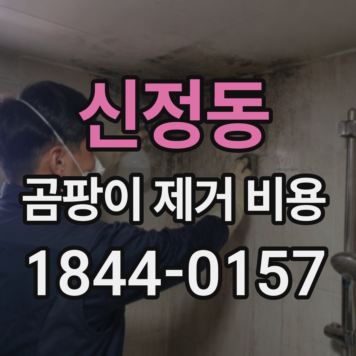 신정동 곰팡이 제거 비용