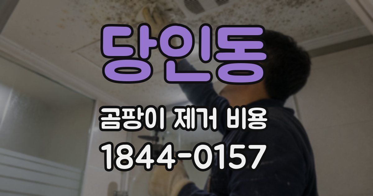 당인동 곰팡이 제거 비용