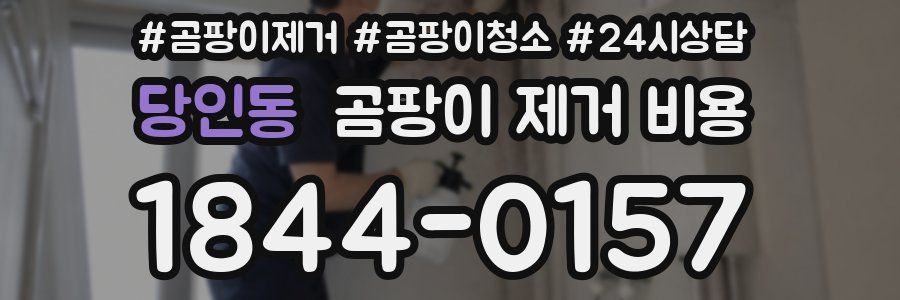 당인동 곰팡이 제거 비용