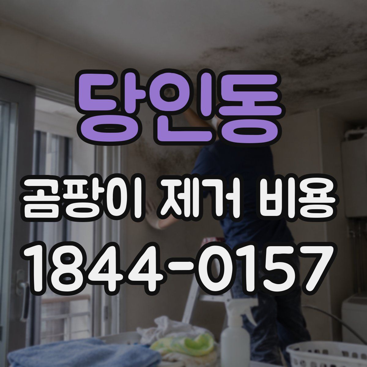 당인동 곰팡이 제거 비용