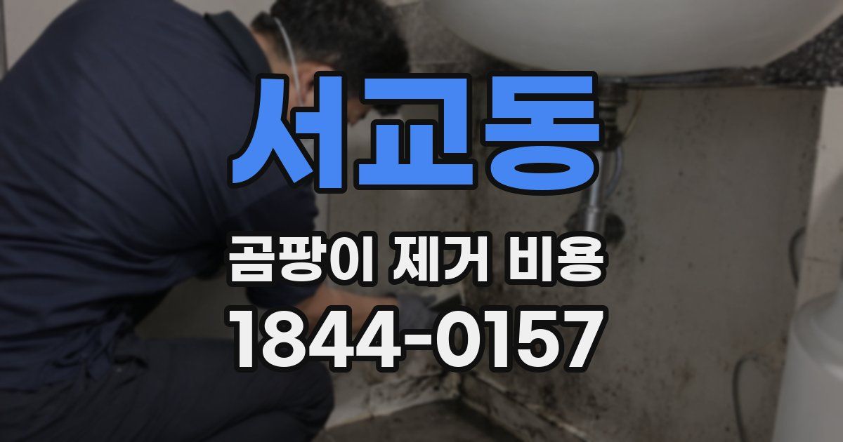 서교동 곰팡이 제거 비용