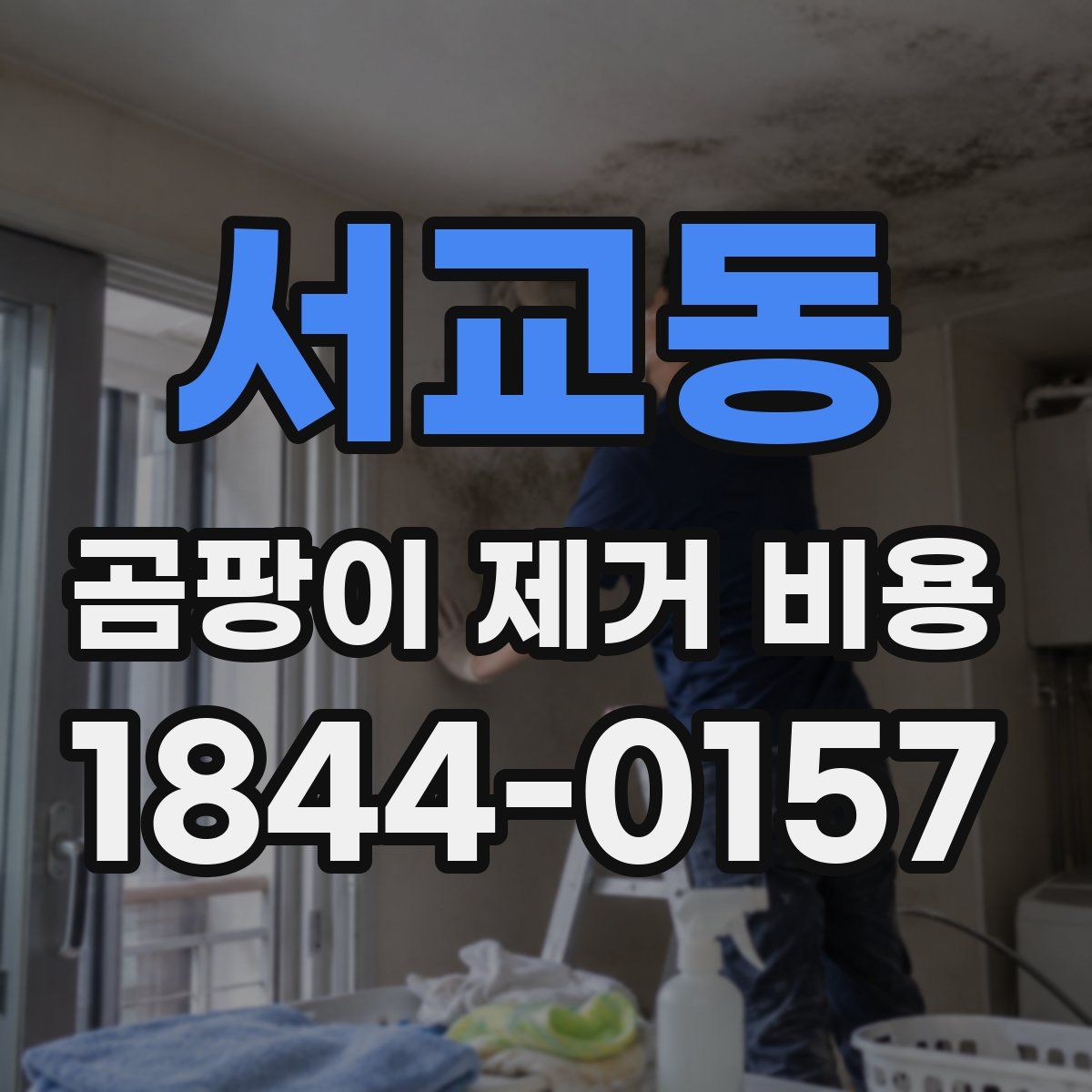 서교동 곰팡이 제거 비용