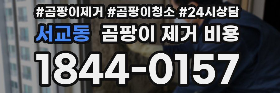 서교동 곰팡이 제거 비용