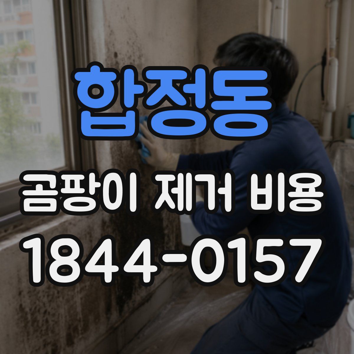 합정동 곰팡이 제거 비용
