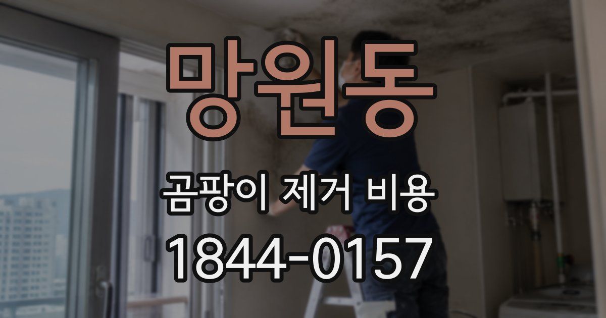 망원동 곰팡이 제거 비용