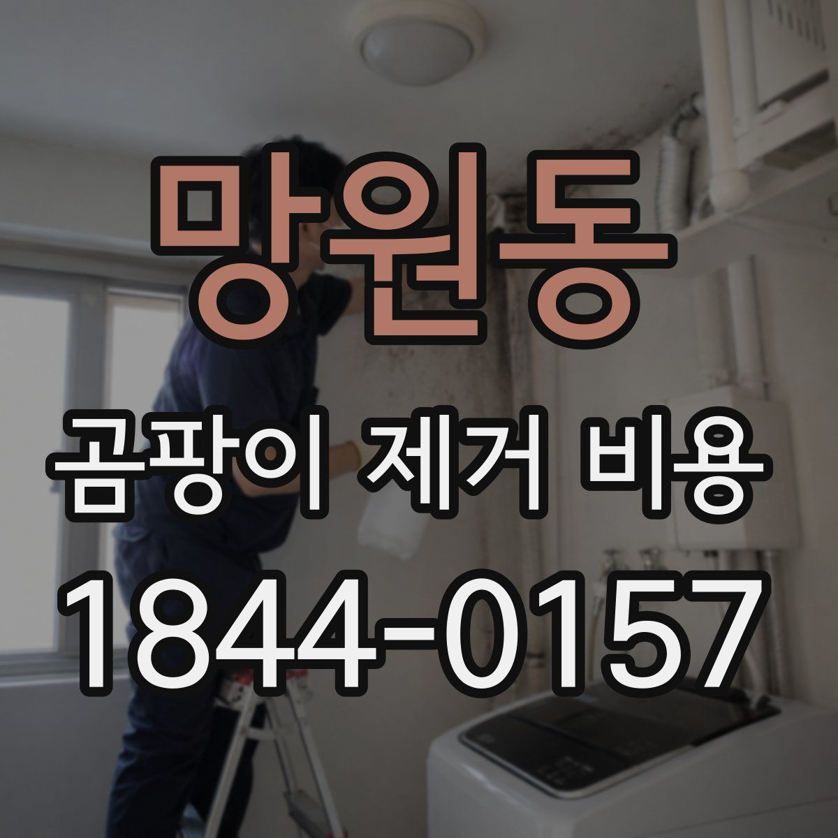 망원동 곰팡이 제거 비용